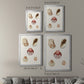 Pastel Knorr Shells V - Modern Framed Canvas Print
