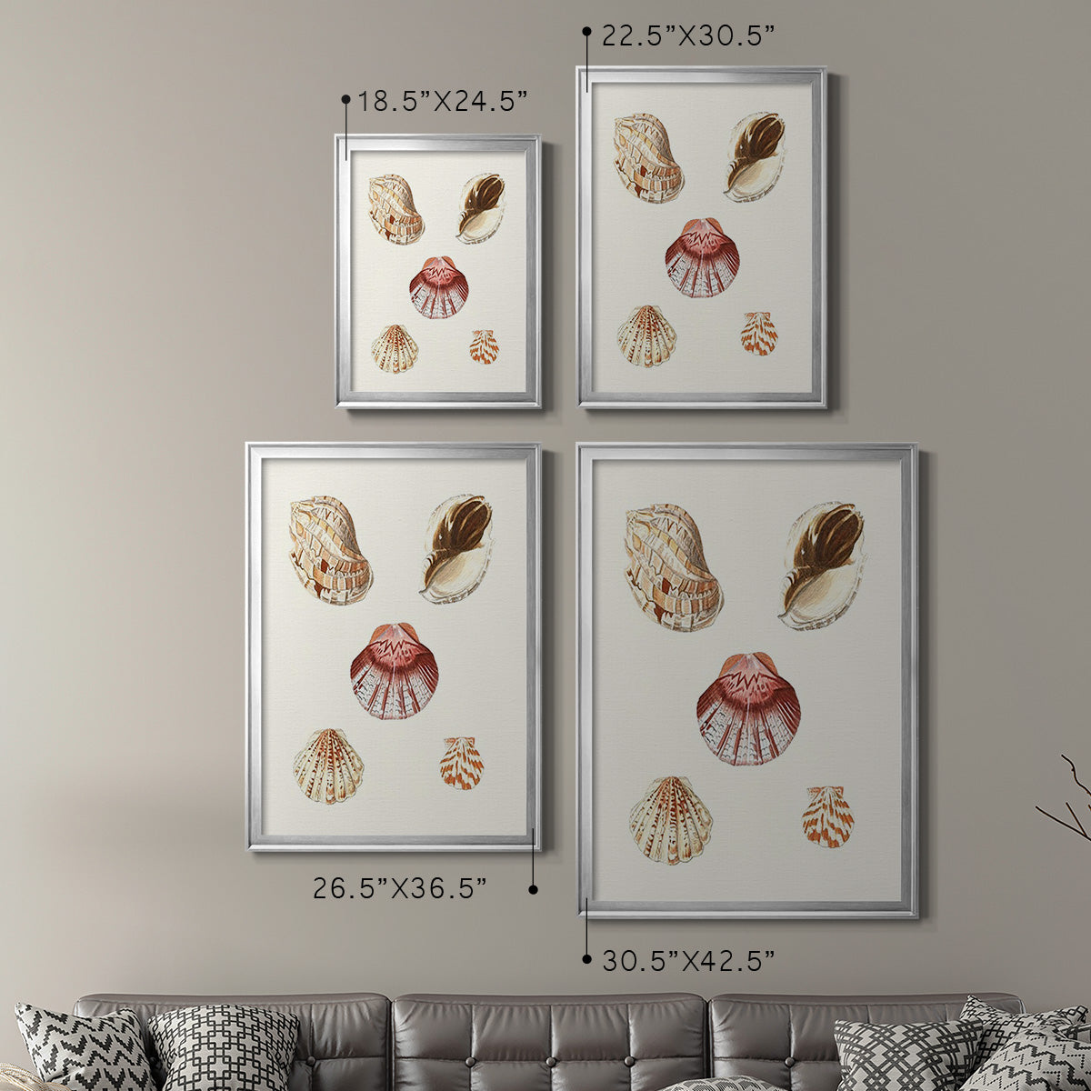 Pastel Knorr Shells V - Modern Framed Canvas Print