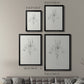 Neutral Iris Sketch I - Modern Framed Canvas Print