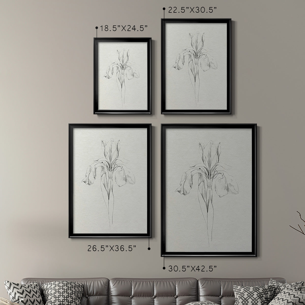 Neutral Iris Sketch I - Modern Framed Canvas Print