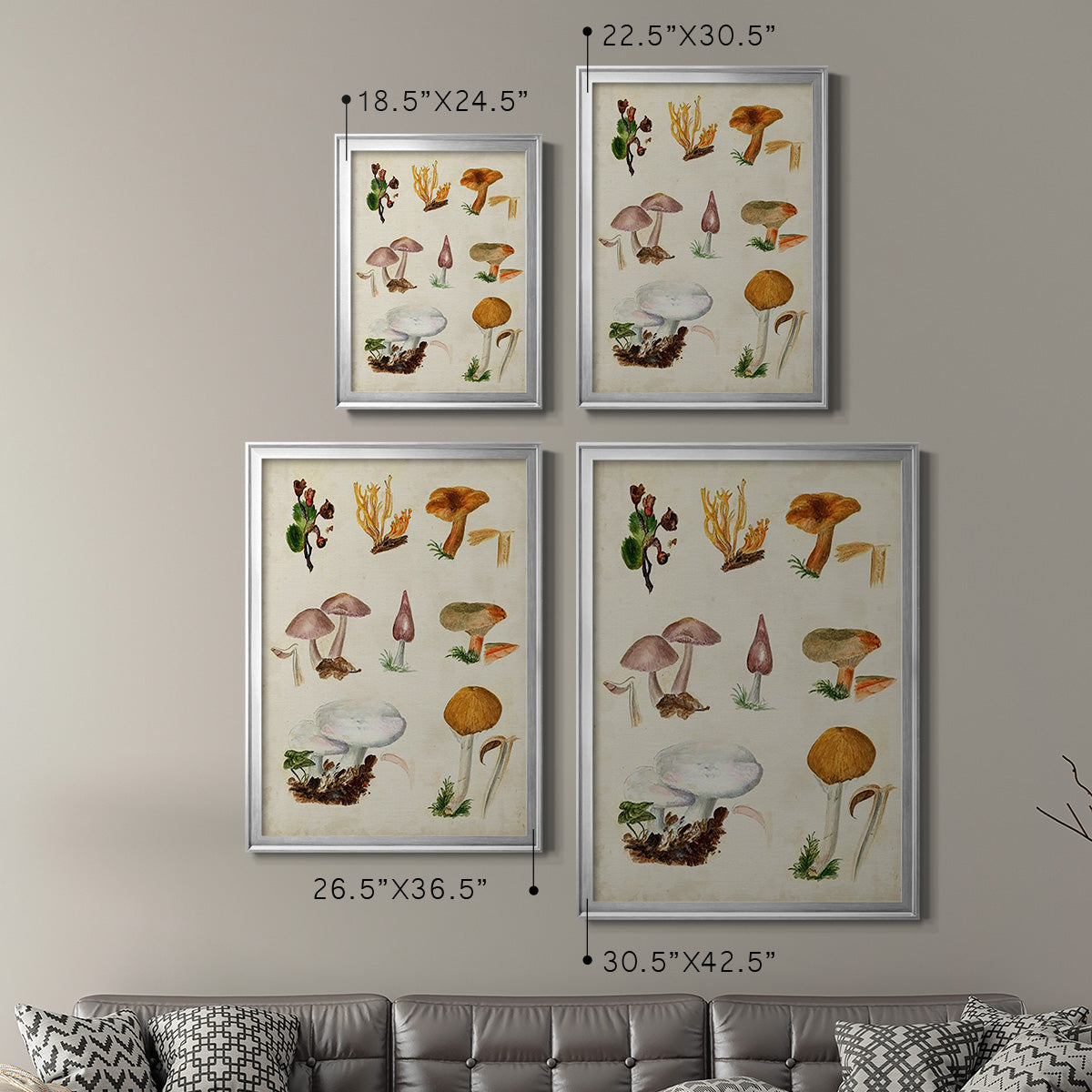 Mushroom Species VI - Modern Framed Canvas Print