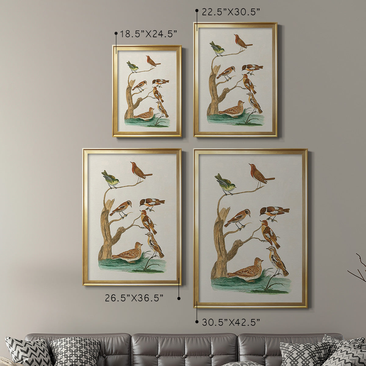 Antique Birds in Nature III - Modern Framed Canvas Print