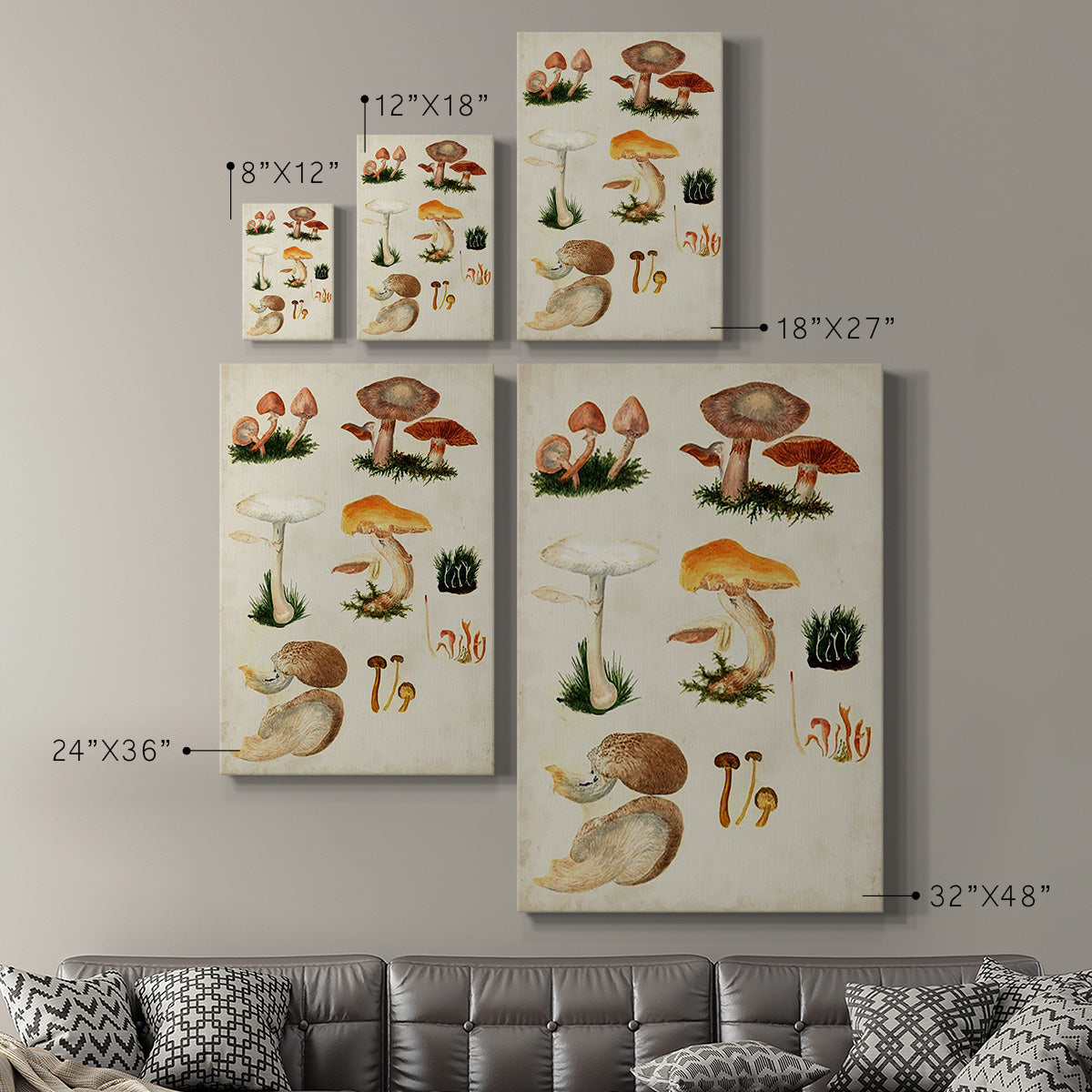Mushroom Species IV - Canvas Art Print