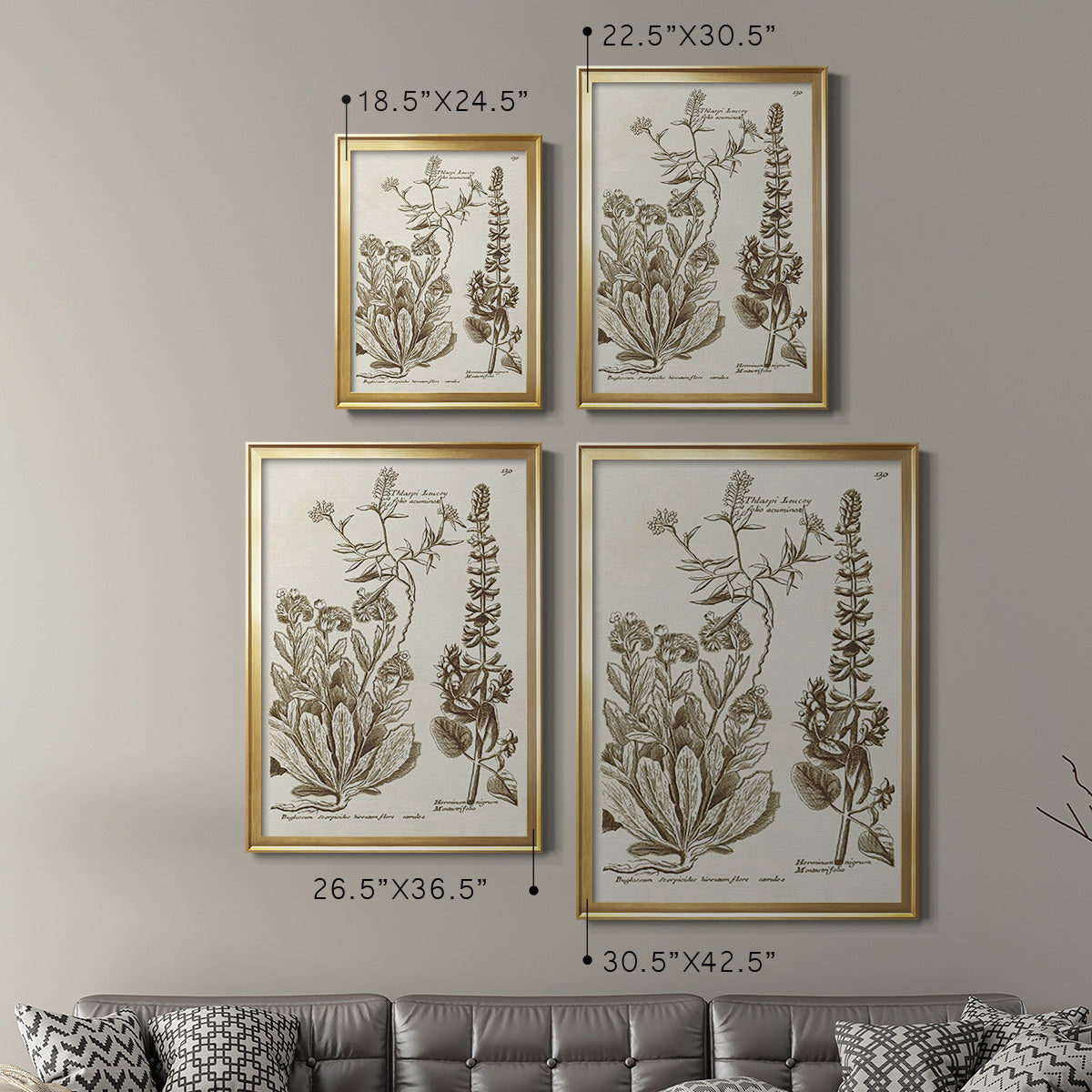 Sepia Botanical Journal IV - Modern Framed Canvas Print