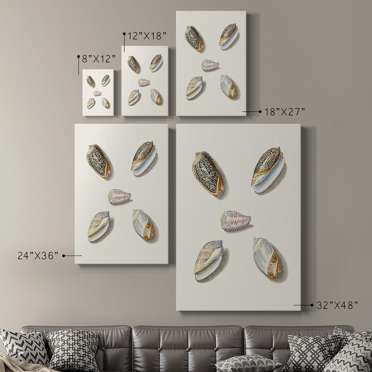 Pastel Knorr Shells III - Canvas Art Print