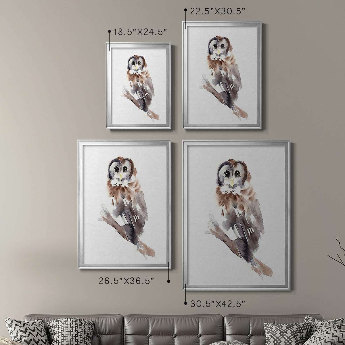 Barred Owl Impressions II - Modern Framed Canvas Print