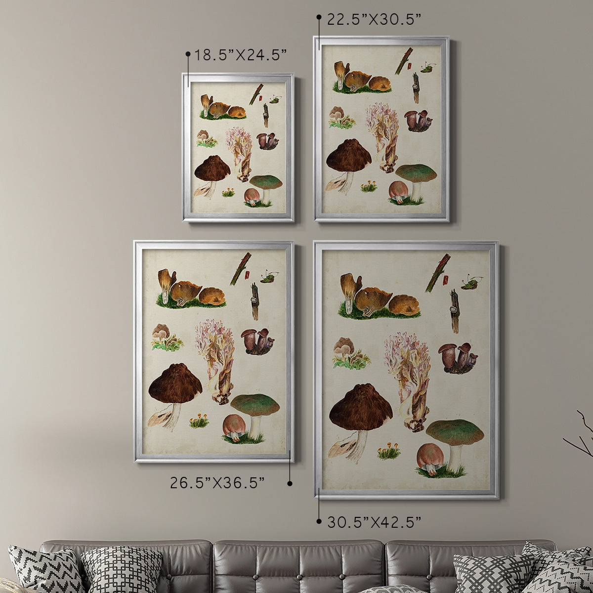 Mushroom Species IX - Modern Framed Canvas Print