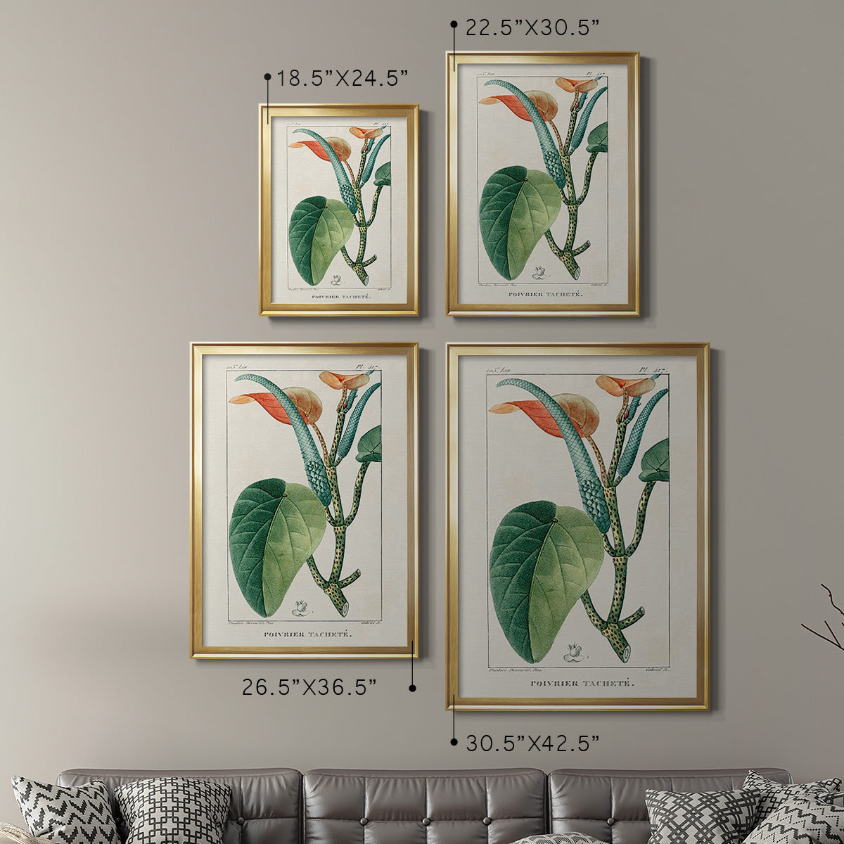 Turpin Tropical Botanicals II - Modern Framed Canvas Print