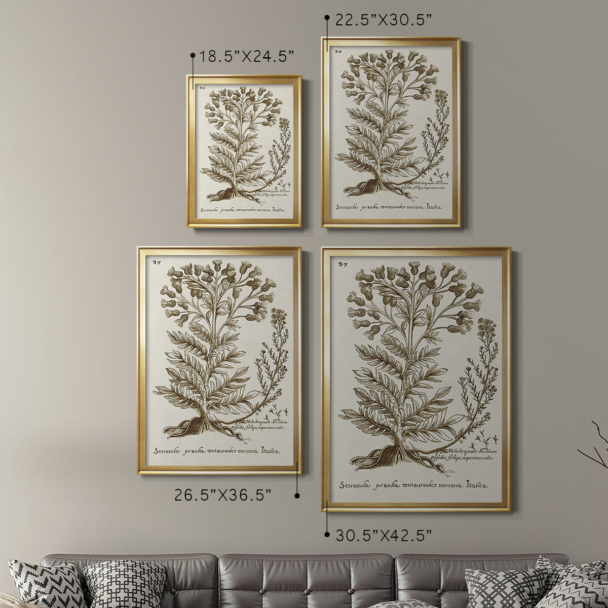 Sepia Botanical Journal I - Modern Framed Canvas Print