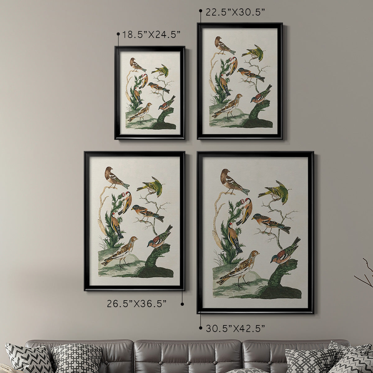 Antique Birds in Nature I - Modern Framed Canvas Print