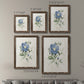 Farmhouse Periwinkle III - Premium Framed Canvas 2 Piece Set - Ready to Hang