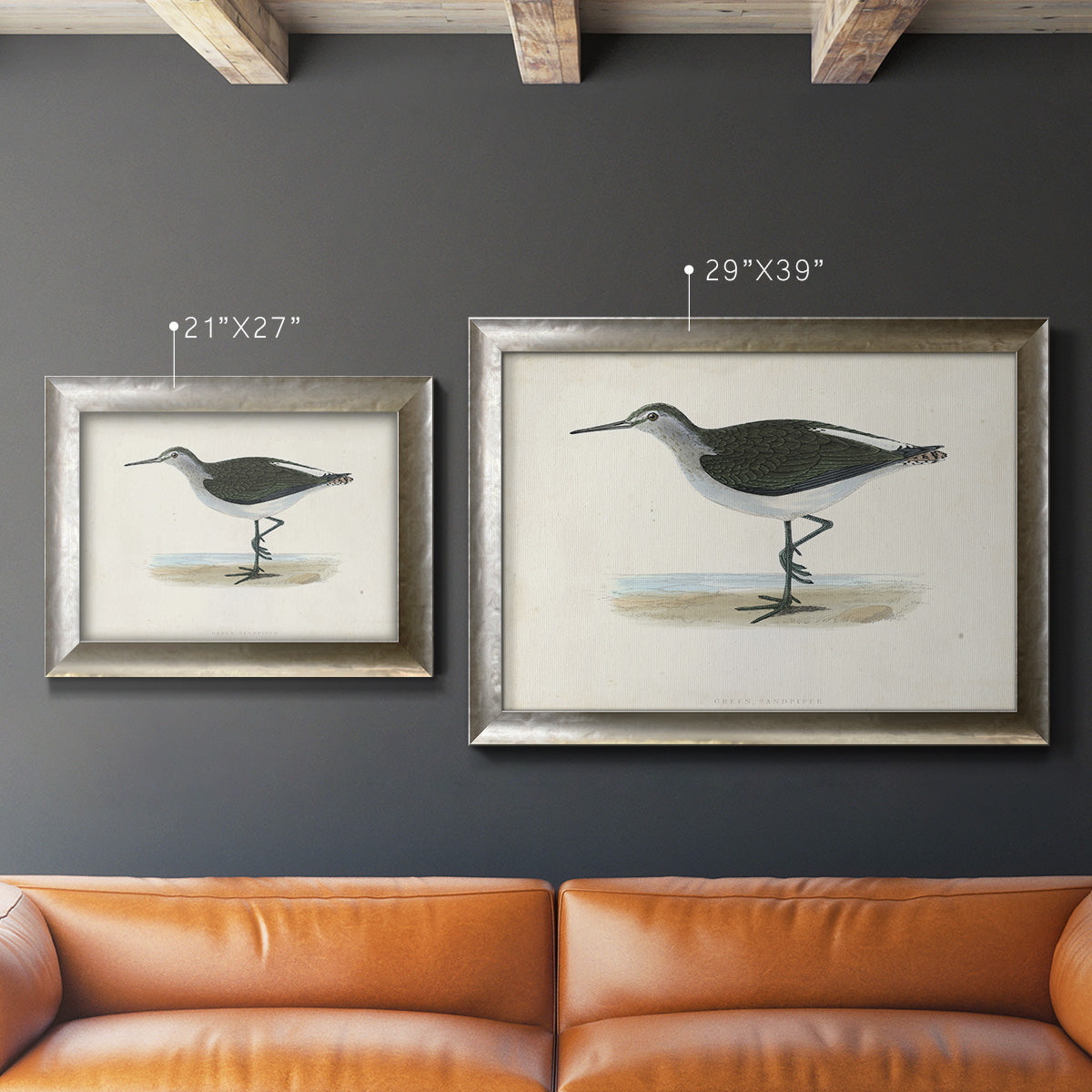 Morris Sandpipers VI Premium Framed Canvas- Ready to Hang