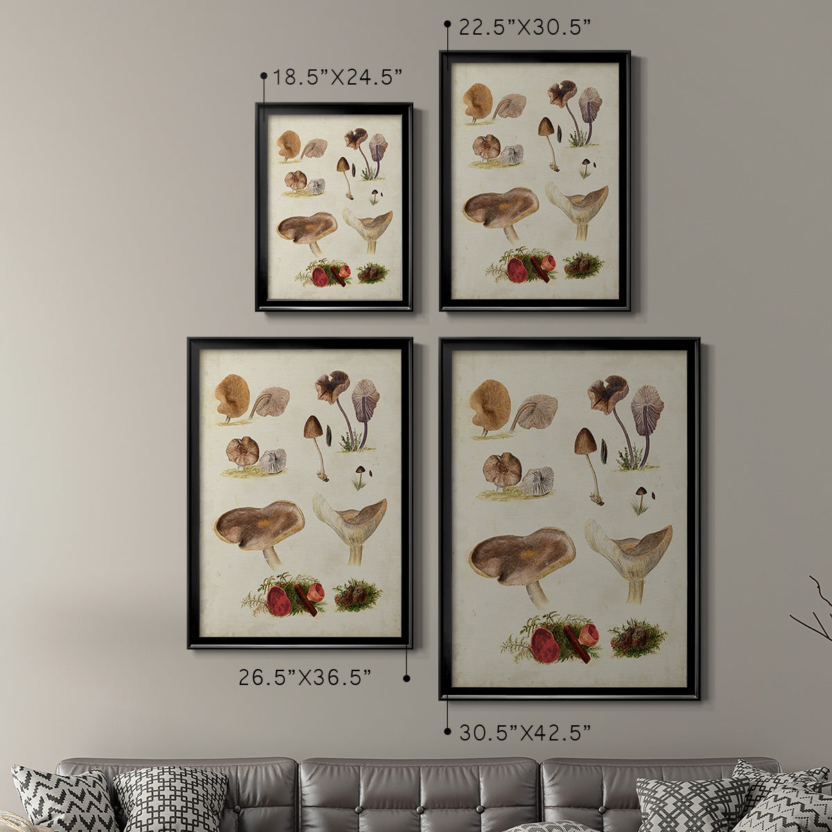 Mushroom Species III - Modern Framed Canvas Print