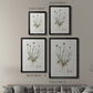 Bellflower Study - Modern Framed Canvas Print