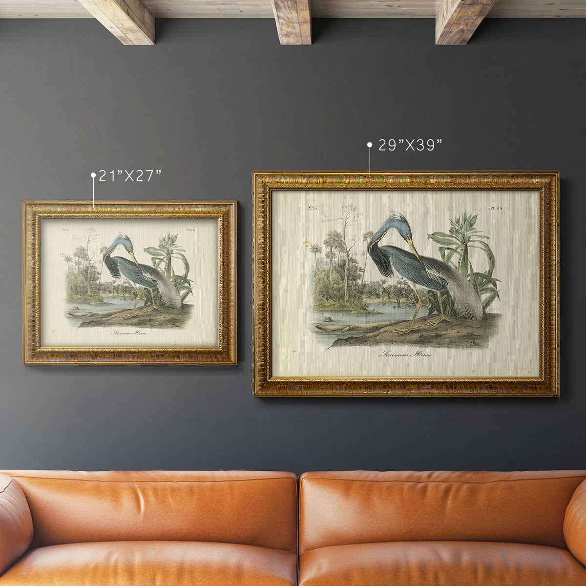 Audubons Louisiana Heron Premium Framed Canvas- Ready to Hang