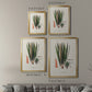Botanical Society Ferns V - Modern Framed Canvas Print