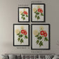 Flowers of the Seasons I - Modern Framed Canvas Print