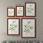 Herb Sage - Premium Framed Canvas 2 Piece Set - Ready to Hang