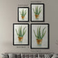 Succulent IV - Modern Framed Canvas Print