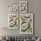 Antique Moths II Premium Gallery Wrapped Canvas - Ready to Hang