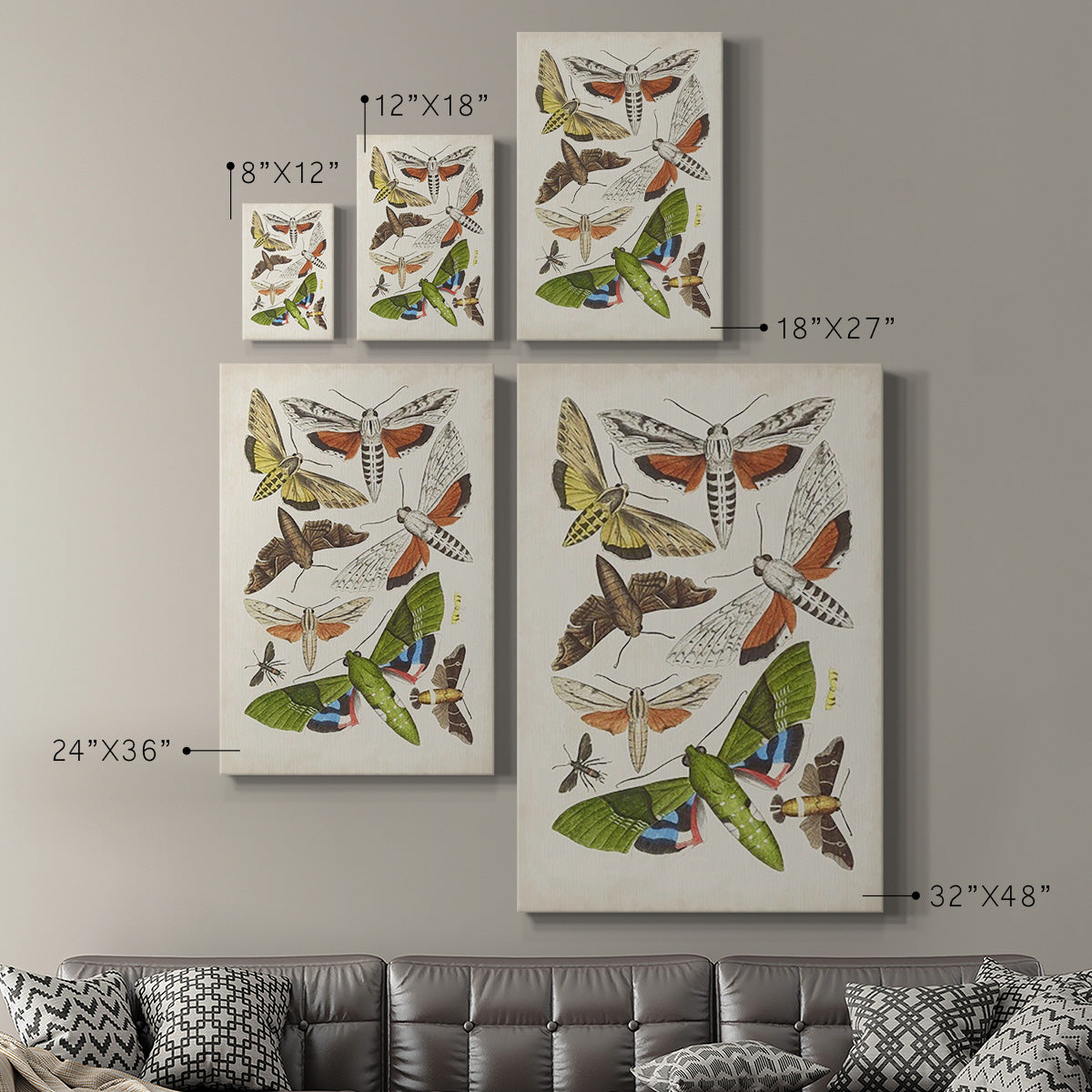 Antique Moths II Premium Gallery Wrapped Canvas - Ready to Hang