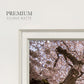 Spring's Arrival - Double Matboard Framed Print