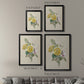 Antique Garden Bouquet II - Modern Framed Canvas Print