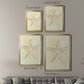 Salty Seashell I - Modern Framed Canvas Print