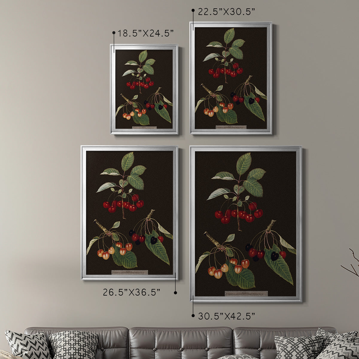 Brookshaw Cherries - Modern Framed Canvas Print