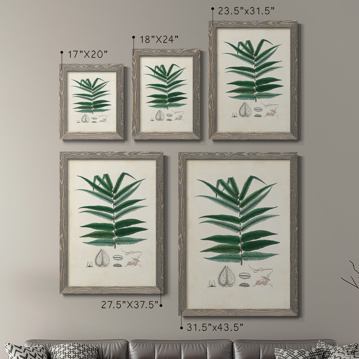 Size comparison chart for a set of two gray barnwood framed canvas prints.