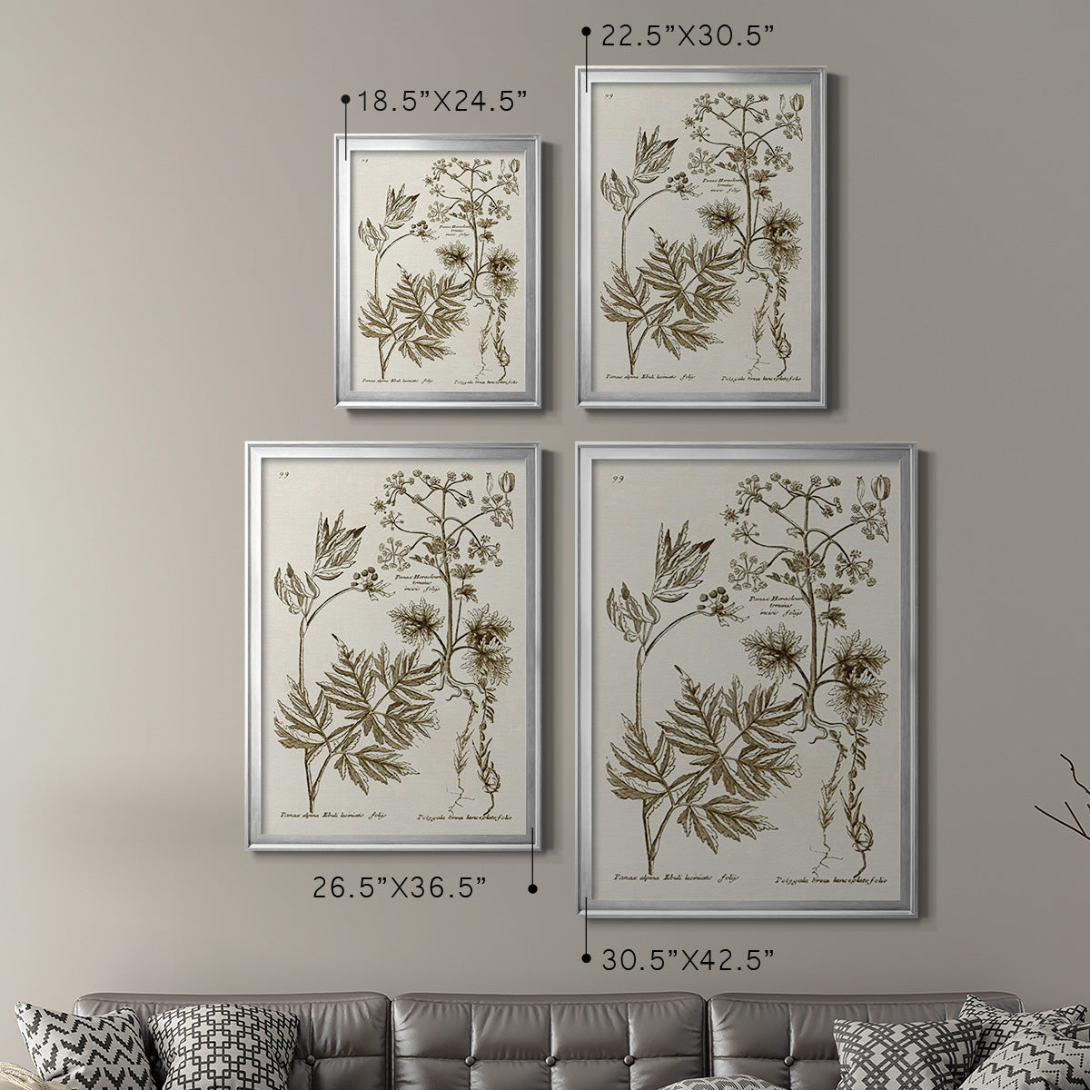 Sepia Botanical Journal III - Modern Framed Canvas Print