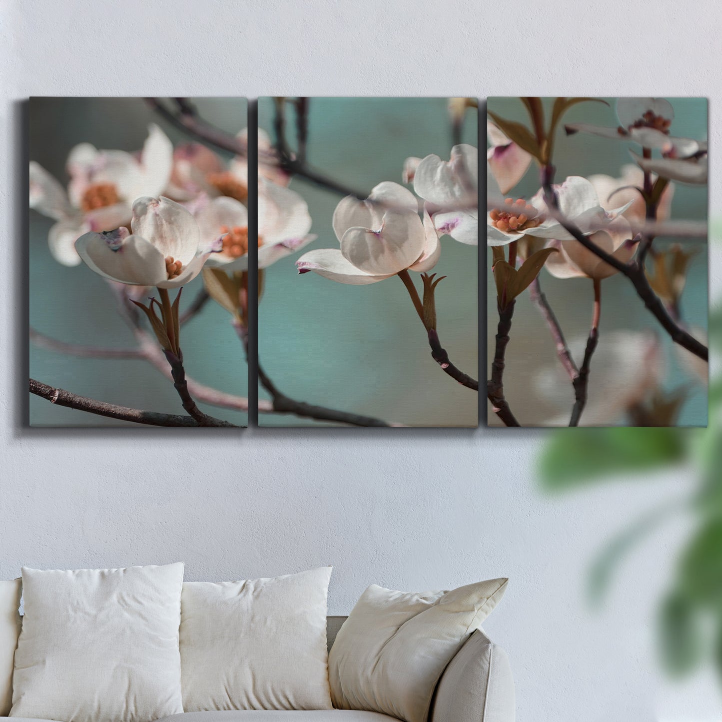 Three-panel canvas wall art featuring dogwood blossoms in spring photograph, displayed in a living room above a sofa.