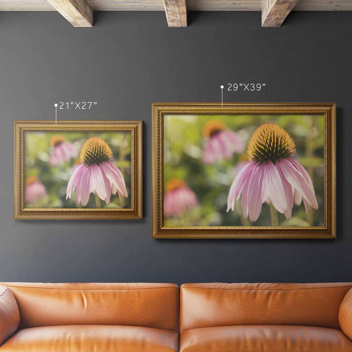 Echinacea Study I Premium Framed Canvas- Ready to Hang