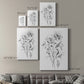 Wild Roses Sketch Premium Gallery Wrapped Canvas - Ready to Hang