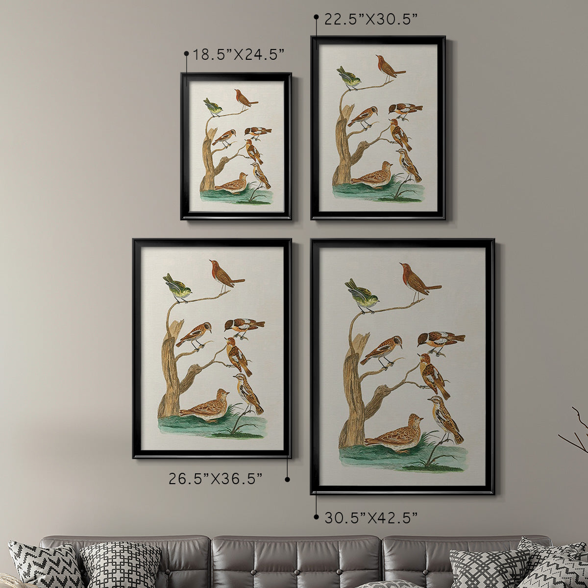 Antique Birds in Nature III - Modern Framed Canvas Print