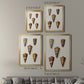 Cone Shell Collection II - Modern Framed Canvas Print