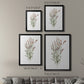 Dainty Botanical II - Modern Framed Canvas Print