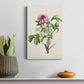 Pretty Pink Botanicals V Premium Gallery Wrapped Canvas - Ready to Hang