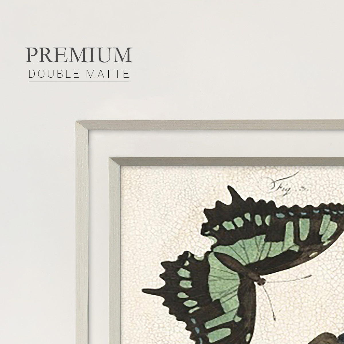 Crackled Butterflies III Premium Framed Print Double Matboard