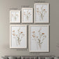 Pressed Botanical I - Premium Framed Canvas 2 Piece Set - Ready to Hang