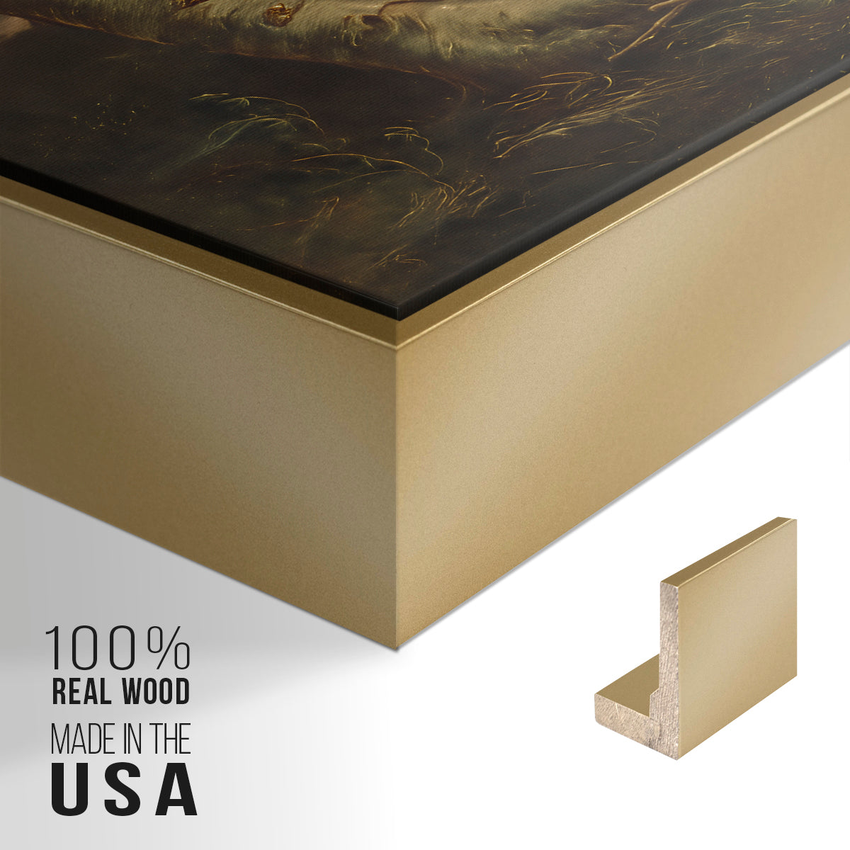 Tornado in an American Forest, 1835 - Floater Framed Canvas Print