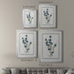 Soft Botanical I - Modern Framed Canvas Print