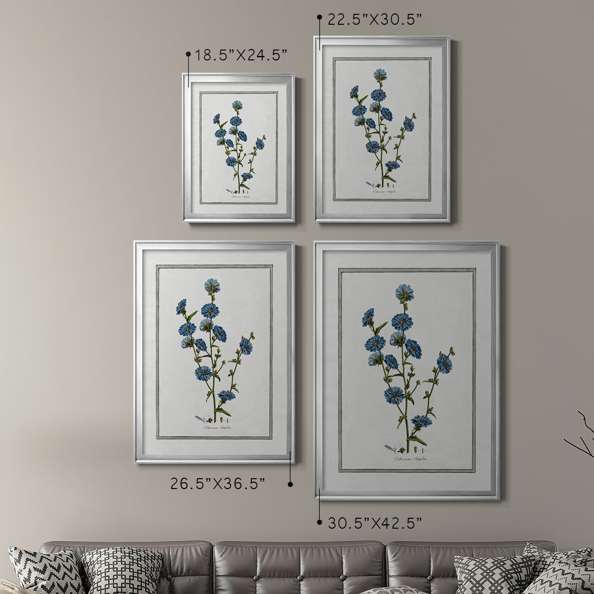 Soft Botanical I - Modern Framed Canvas Print