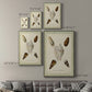 Bookplate Shells IV Premium Gallery Wrapped Canvas - Ready to Hang