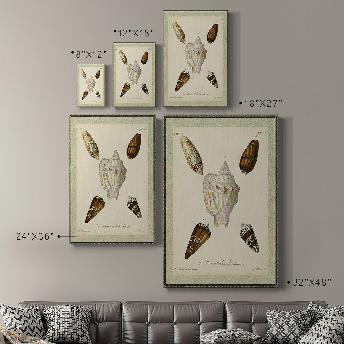 Bookplate Shells IV Premium Gallery Wrapped Canvas - Ready to Hang