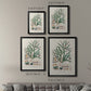 Botanical Society Ferns VII - Modern Framed Canvas Print