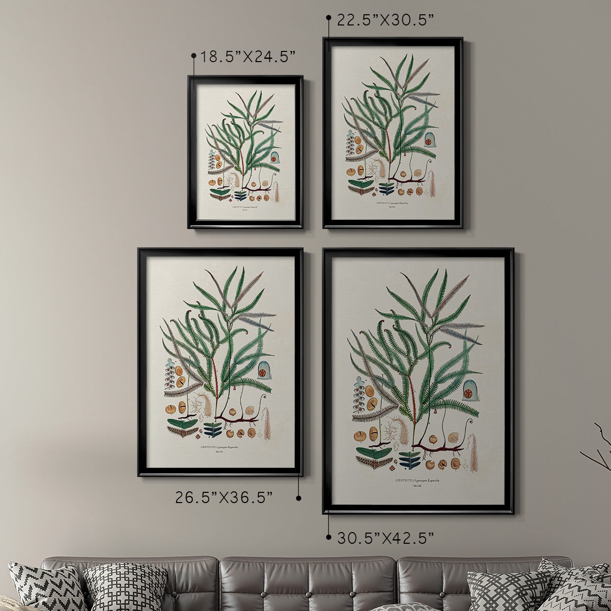 Botanical Society Ferns VII - Modern Framed Canvas Print