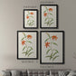 Flowers of the Seasons III - Modern Framed Canvas Print