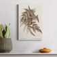 Sepia Fern Varieties IV Premium Gallery Wrapped Canvas - Ready to Hang