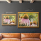 Echinacea Study II Premium Framed Canvas- Ready to Hang